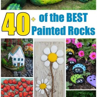 Over 40 of the BEST Rock Painting Ideas!