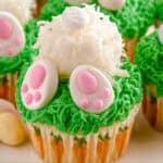 Bunny Butt Cupcakes feature