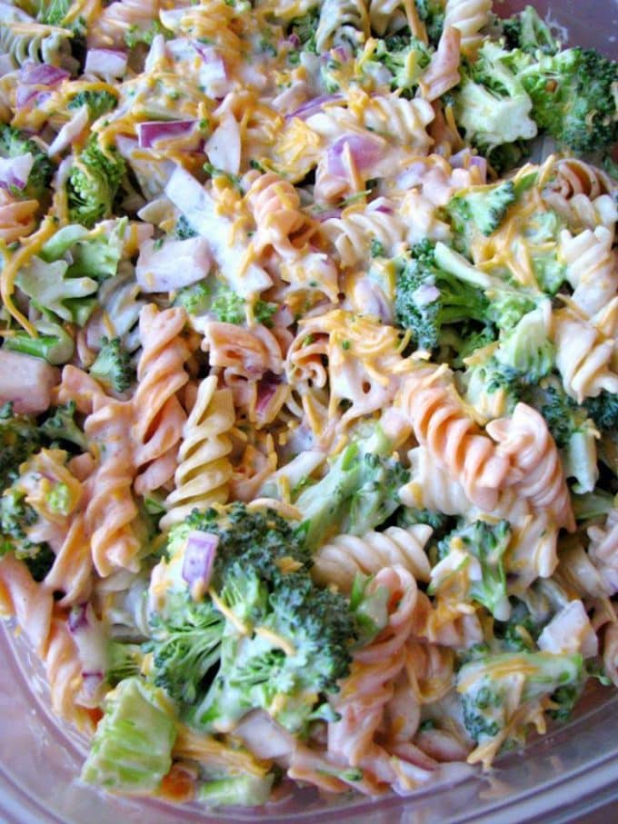 Broccoli Cheddar Pasta Salad...these are the BEST Salad Recipes!