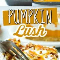 Pumpkin Lush