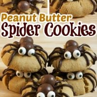 Peanut Butter Spider Cookies Pin0