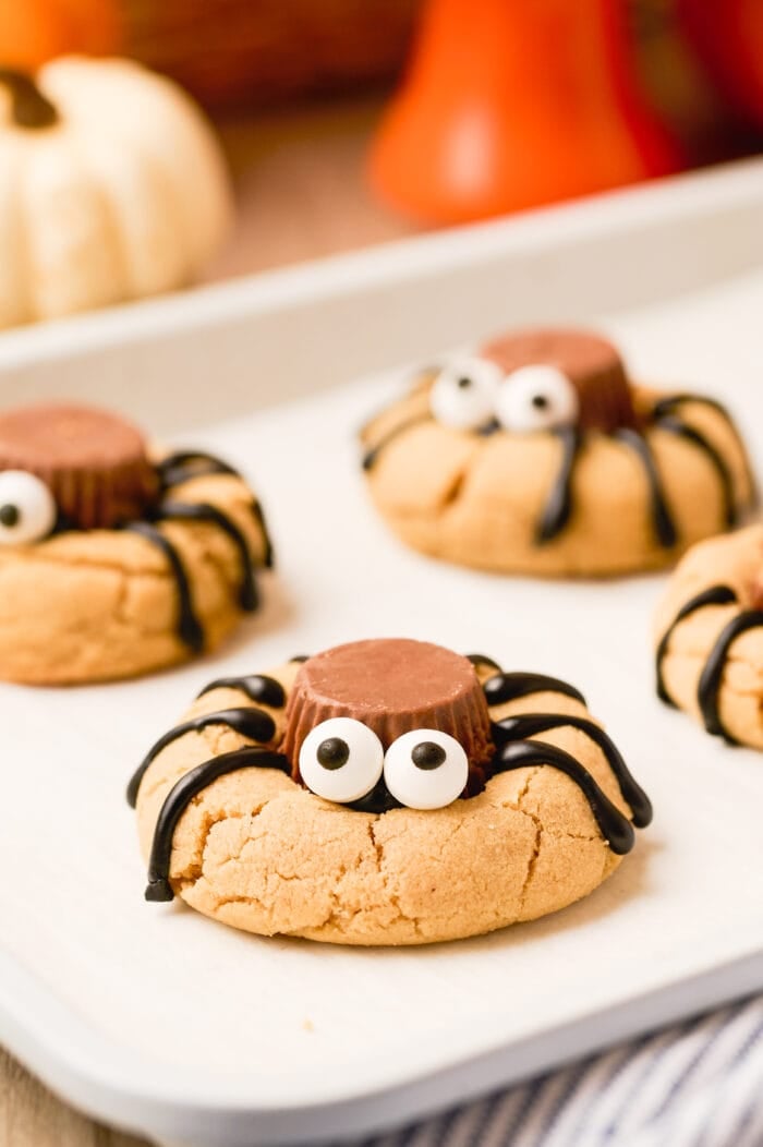 Peanut Butter Spider Cookies