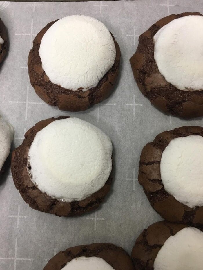marshmallow melted on cookie