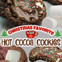 Hot Cocoa Cookies pin