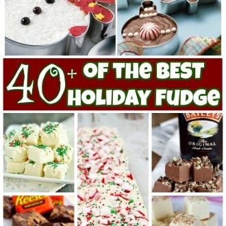 The BEST Holiday Fudge Recipes!