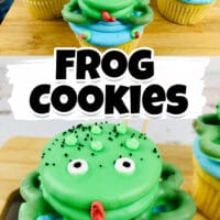 Cute Frog Cookies with chocolate covered Oreos and pretzels perched on top of a cupcake pond and decorated with candy pond reeds.