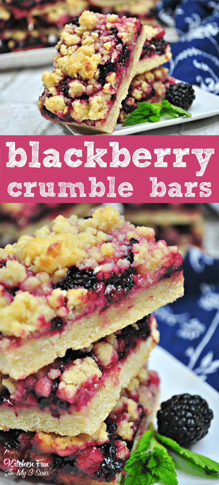Blackberry Pie Crumble Bars
