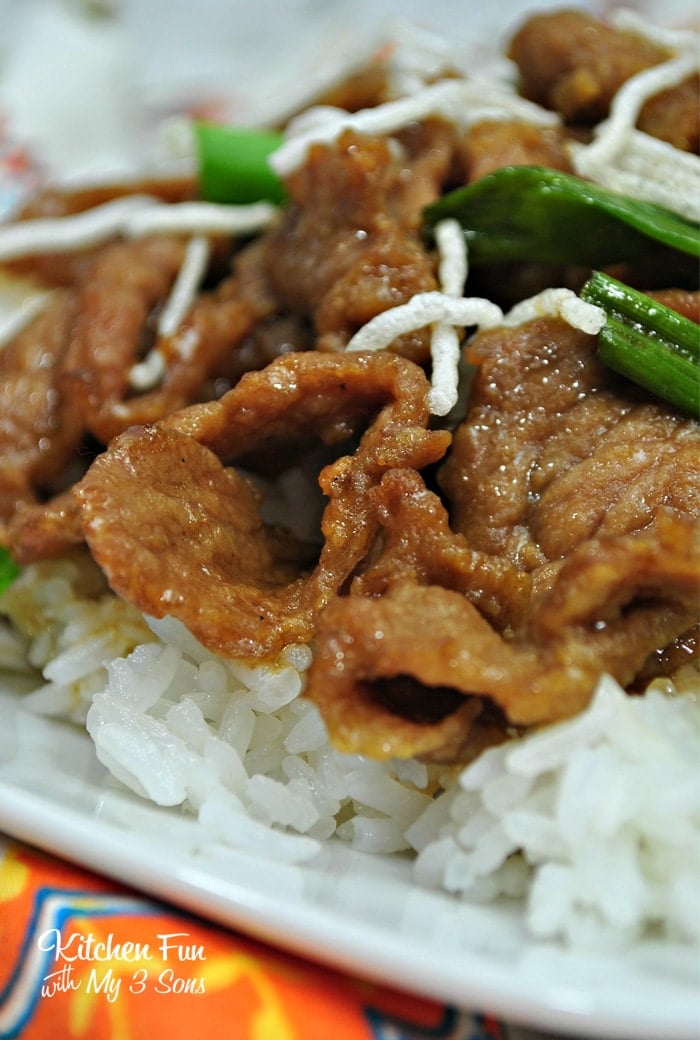 Beef in a brown sauce on a bed of rice with scallions and rice noodles as garnish.