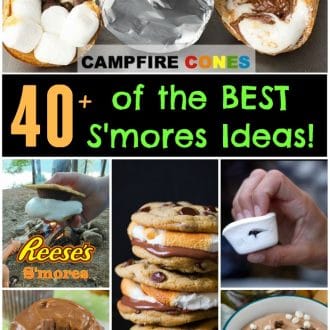 Over 40 of the BEST S'mores Recipes!
