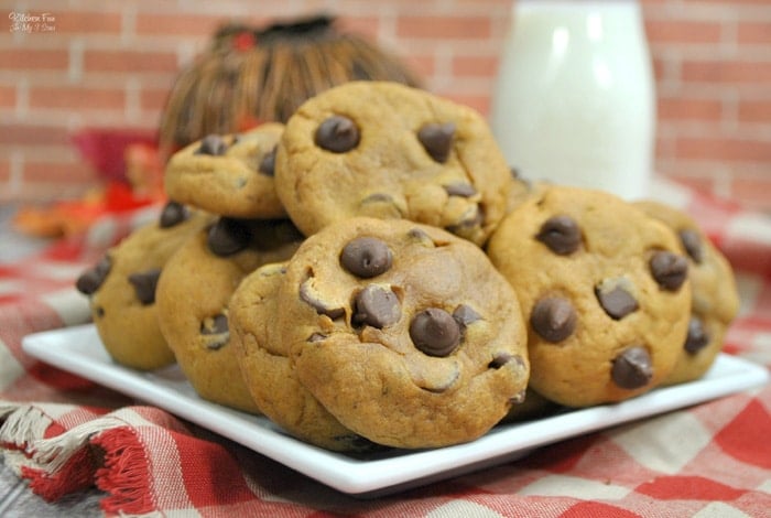 A plate of pumpkin chocolate chip cookies