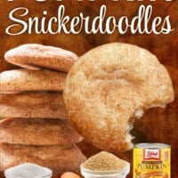 Pumpkin Snickerdoodles pin