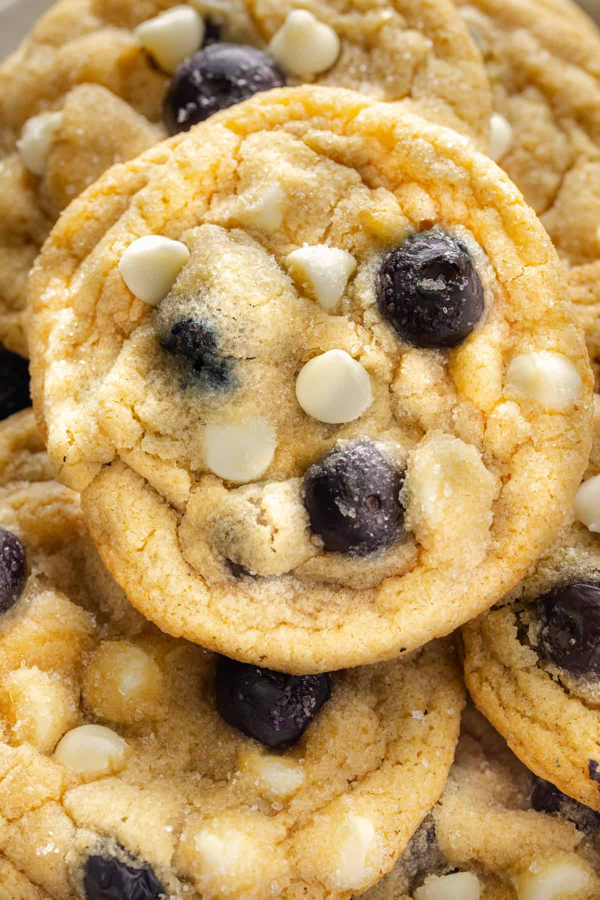 Close up of a blueberry cookie