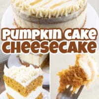 A delicious fall dessert, Pumpkin Cheesecake Cake has layers of pumpkin cake and cheesecake in between cinnamon cream cheese frosting. #Dessert #Recipes