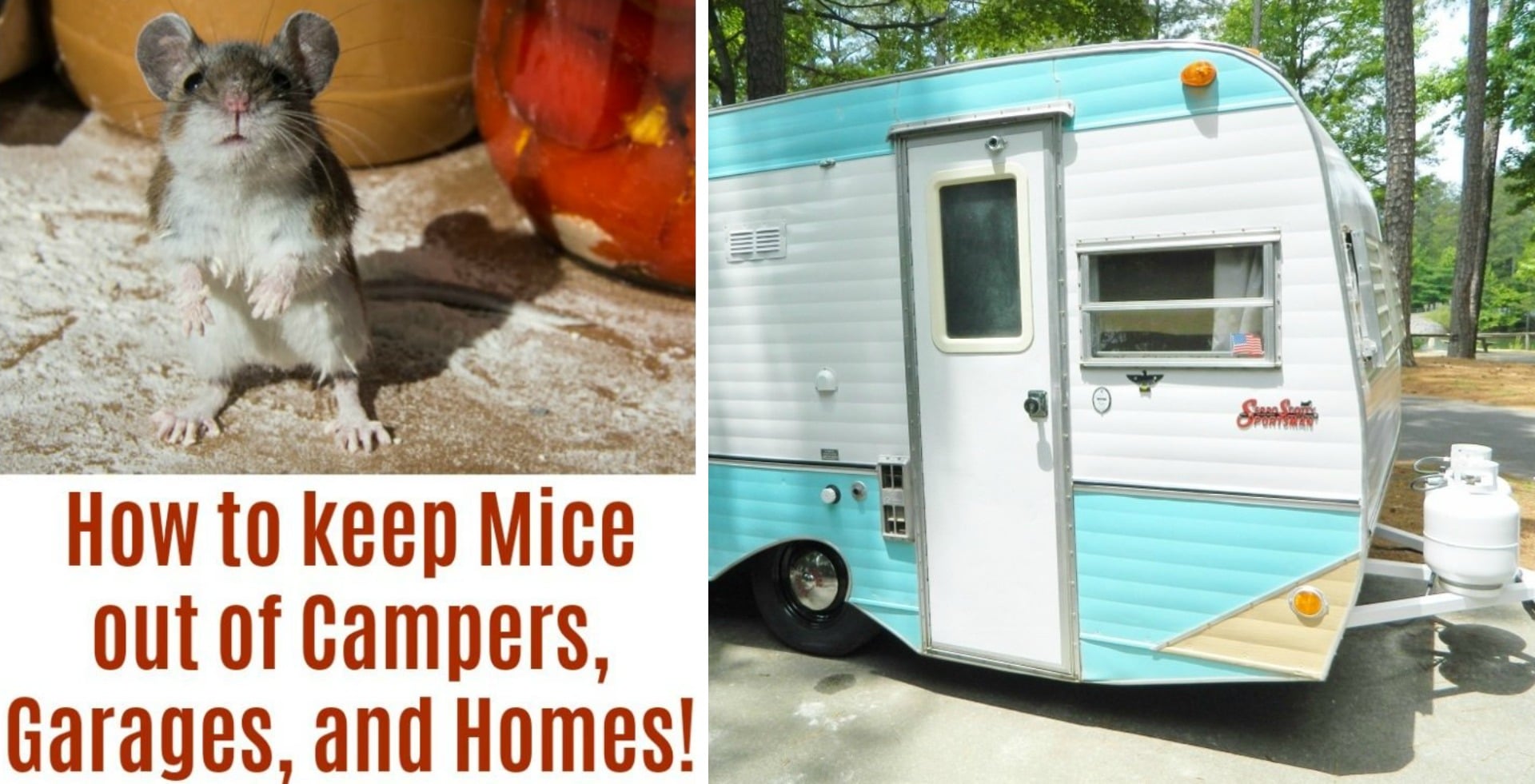 How to keep Mice out of Campers - Kitchen Fun With My 3 Sons