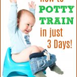 How to Potty Train in 3 Days!