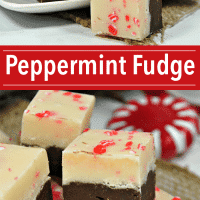 Peppermint fudge with chocolate and white chocolate layers.