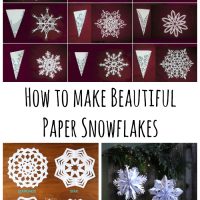 Paper Snowflakes pin