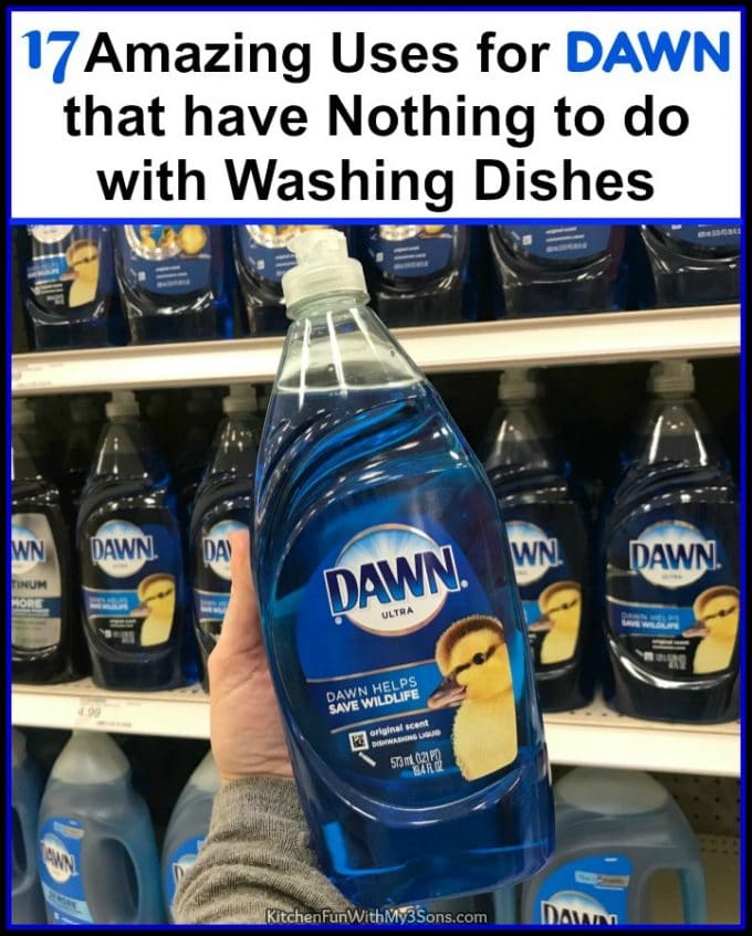 17 Uses for Dawn Dish Soap that have Nothing to do with Washing Dishes -  Kitchen Fun With My 3 Sons