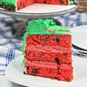 This watermelon cake looks just like a real watermelon! With green frosting and a red cake center with chocolate chips as seeds, you will adore this fun summer cake.