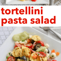 Tortellini Pasta Salad with meat, cheese, and veggies.