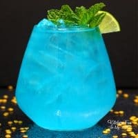 Wishmaker Aladdin Cocktail is a fruity drink recipe all the adults will love. If you remember the excitement of Aladdin coming out back in 1992, this cocktail is for you!