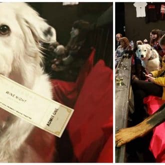 The Movie Theater That Allows Wine, Whiskey, and Dogs