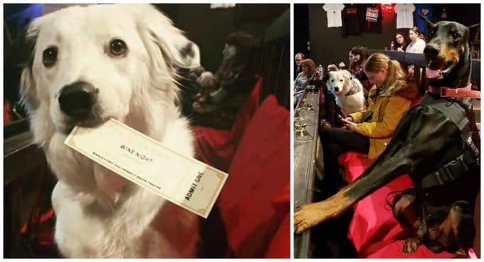 The Movie Theater That Allows Wine, Whiskey, and Dogs