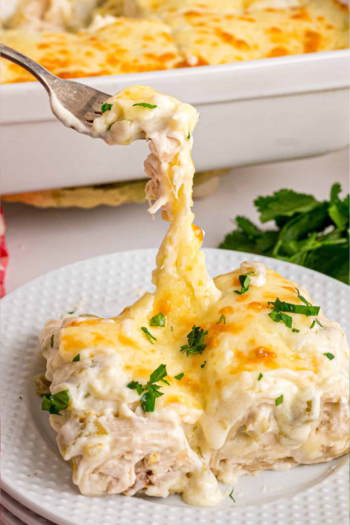 These White Chicken Enchiladas are made with rotisserie chicken, shredded cheese, and a simple sauce made with sour cream and green chiles. lifting a bite of white chicken enchiladas with a fork