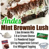 Andes Mint Brownie Lush