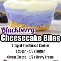 Blackberry Cheesecake Bites