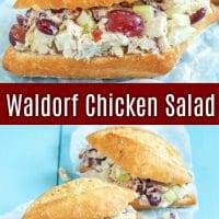 Waldorf Chicken Salad with grapes on sandwich bread.