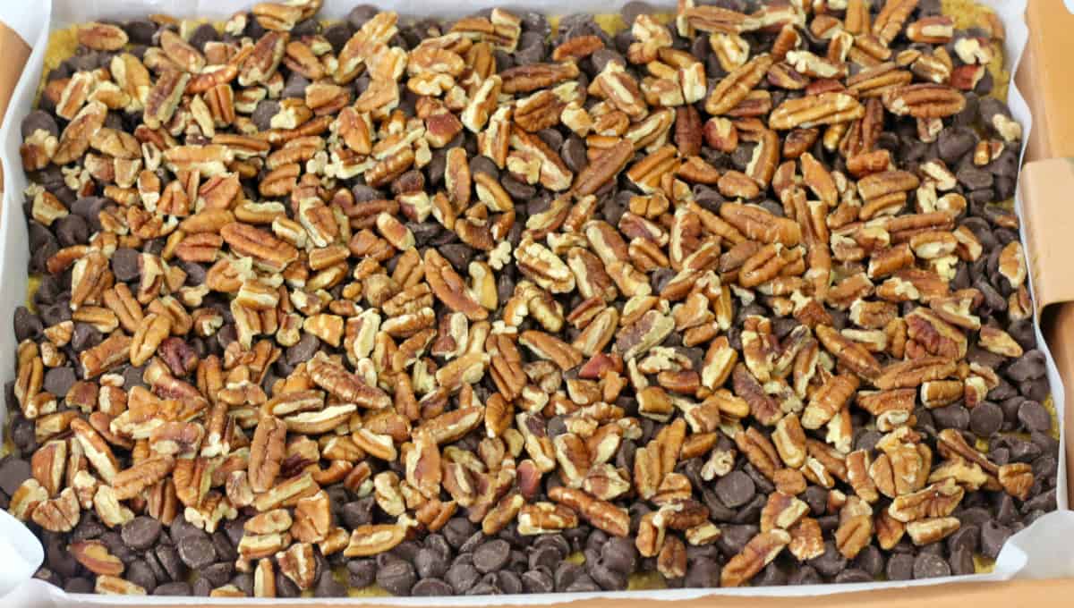 These Hello Dolly Bars are loaded with chocolate chips, coconut, and crunchy pecans over a buttery graham cracker crust.