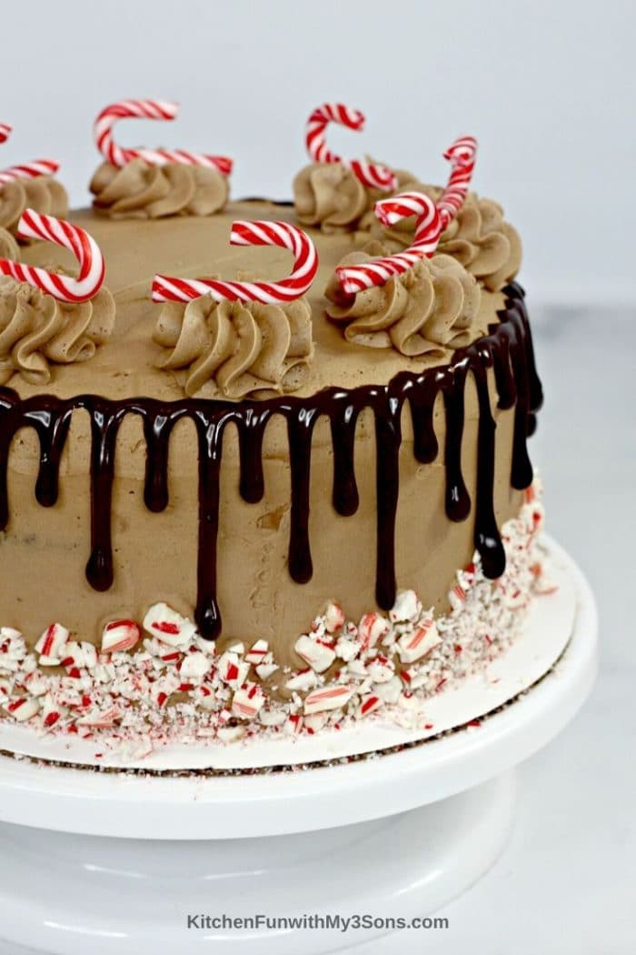 Close up image of chocolate candy cane cake decorated and ready to eat