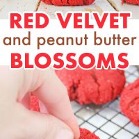 Pinterest title image for Red Velvet Peanut Butter Blossoms