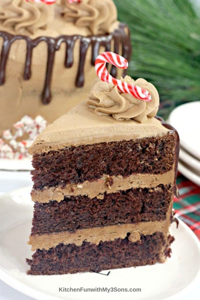Single slice of chocolate chip candy cane cake on a saucer