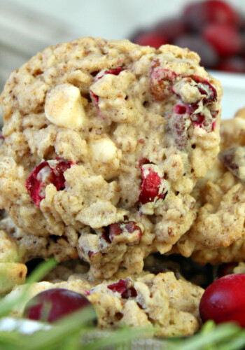 Cranberry Oatmeal Cookies feature