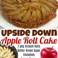 Apple Upside Down Cake