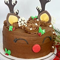 Reindeer Cake