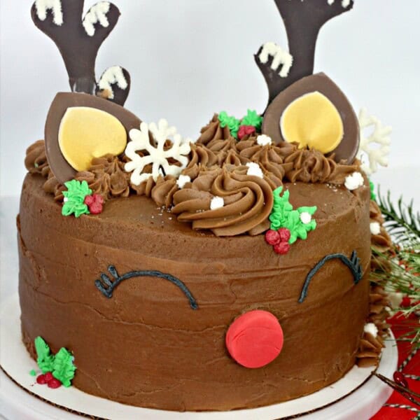 A Reindeer Cake with bright red and green layers is one of the most fun and festive Christmas cakes ever!