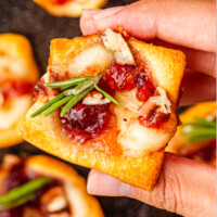 Cranberry Brie Bites feature