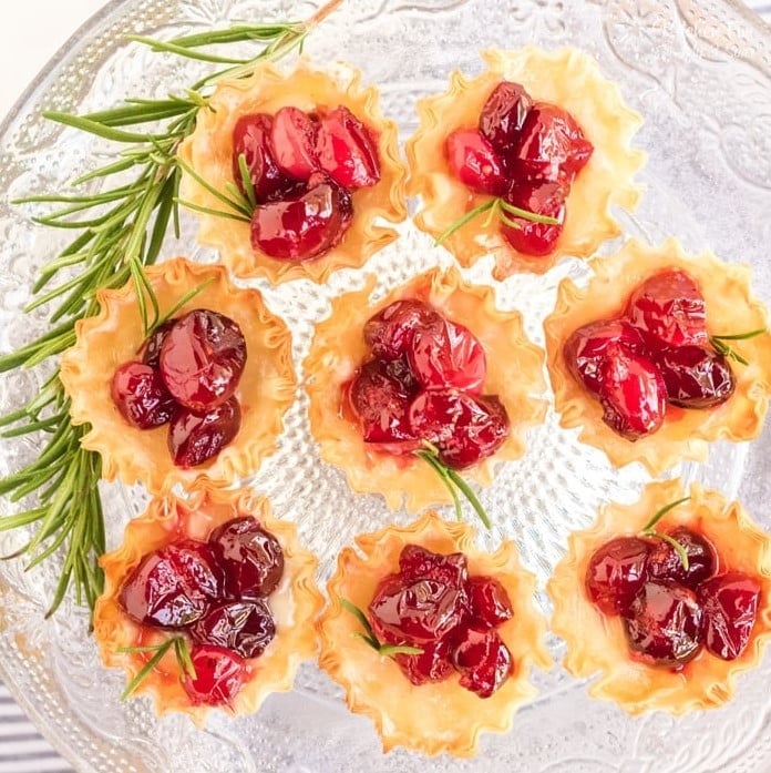 Cranberry Brie Bites with Fillo Shells