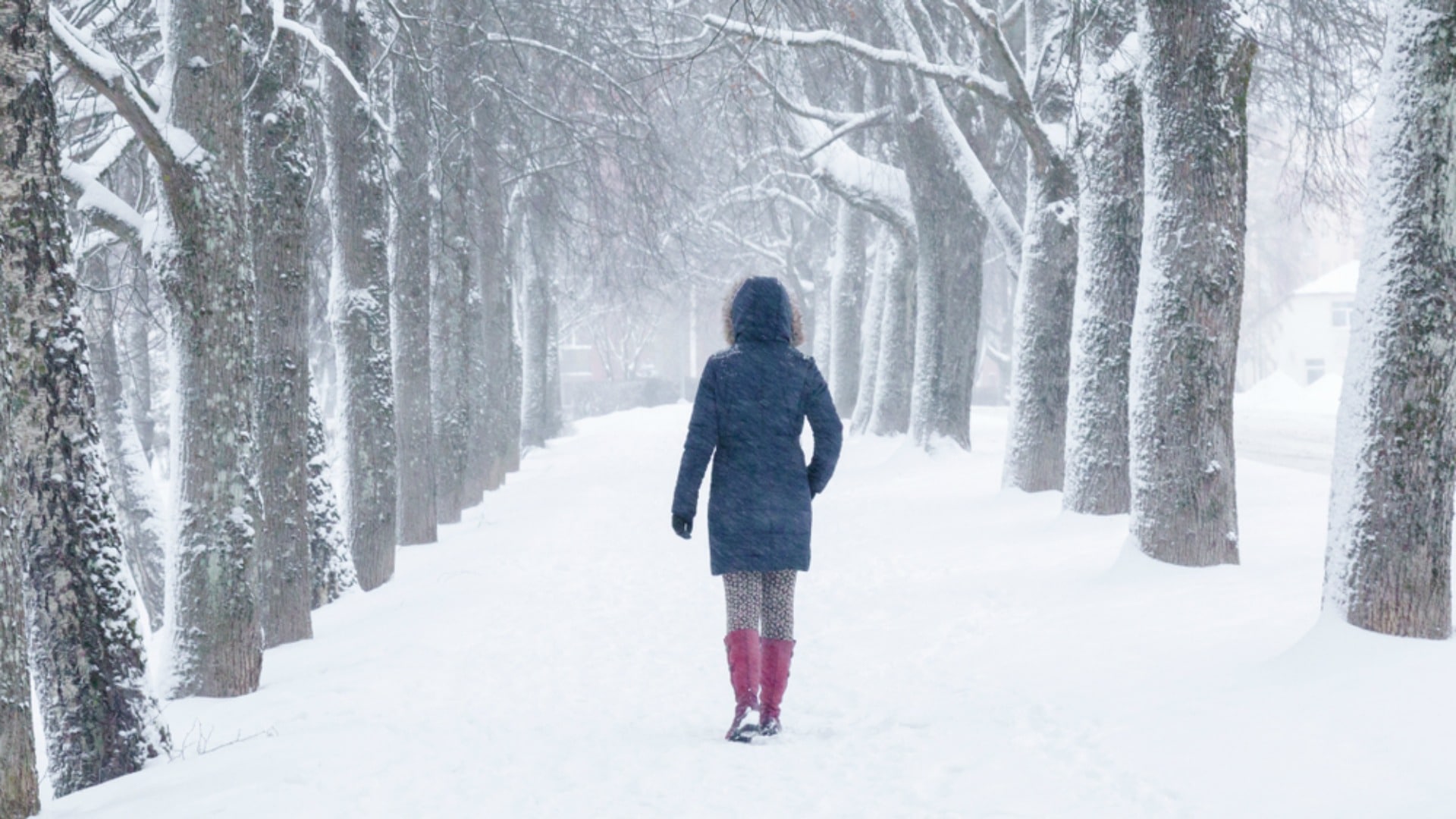 What People Wish You Knew About Their Grief at Christmas  Kitchen Fun