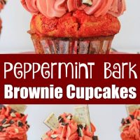 Peppermint Bark Brownie Cupcakes