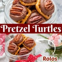 Pretzel Turtles
