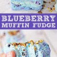 Blueberry Muffin Fudge topped with honey coated oats.