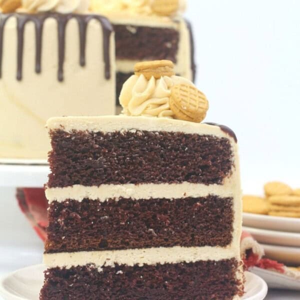 Reese's Nutter Butter Peanut Butter Cake Recipe on a white plate