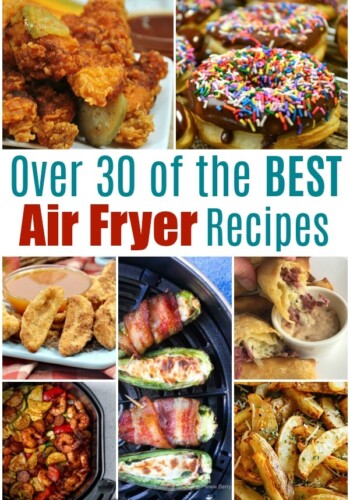 Over 30 of the BEST Air Fryer Recipes