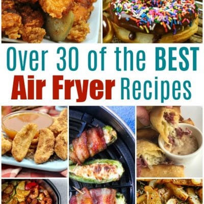 Over 30 of the BEST Air Fryer Recipes