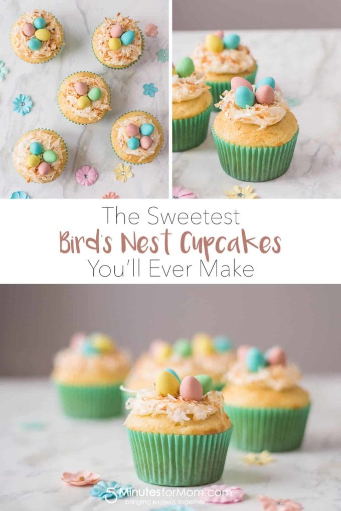 Bird Nest Cupcakes