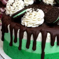 Mint Oreo Cake is a triple layer vanilla cake with layers of creamy Oreo frosting. This is a dessert that will wow anyone who takes a bite.